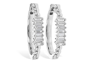 A318-86975: EARR .20 TW BAGUETTES